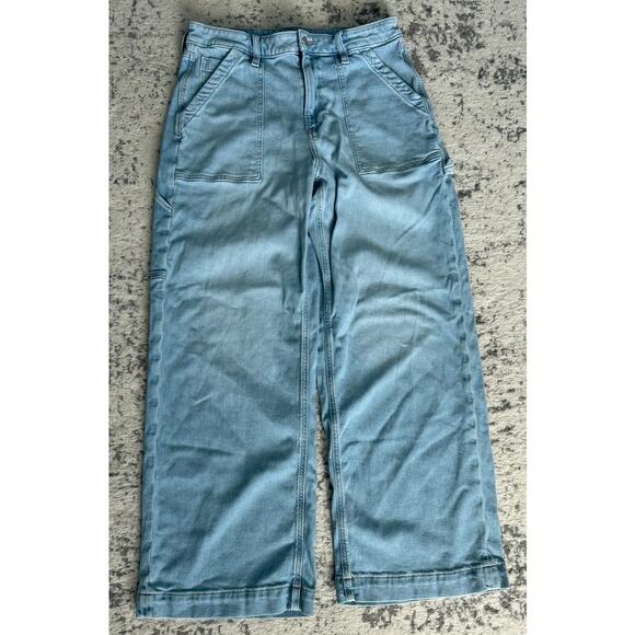 American Eagle Wide Leg Carpenter Stretch Jean Size 10 Short - Picture 1 of 4